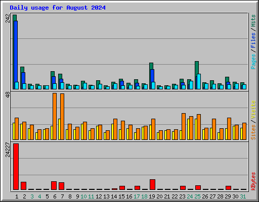 Daily usage for August 2024