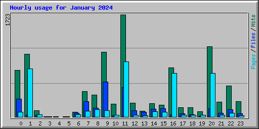 Hourly usage for January 2024