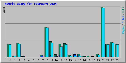 Hourly usage for February 2024