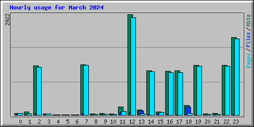 Hourly usage for March 2024