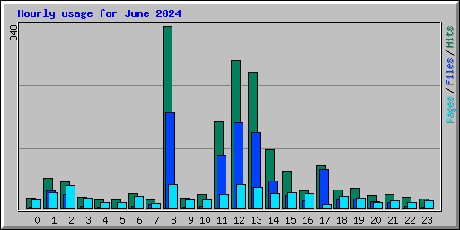 Hourly usage for June 2024