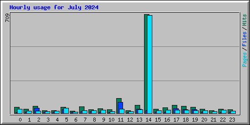 Hourly usage for July 2024