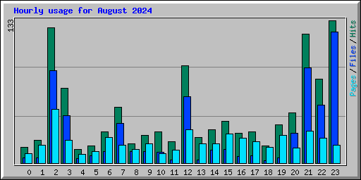 Hourly usage for August 2024