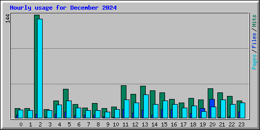 Hourly usage for December 2024