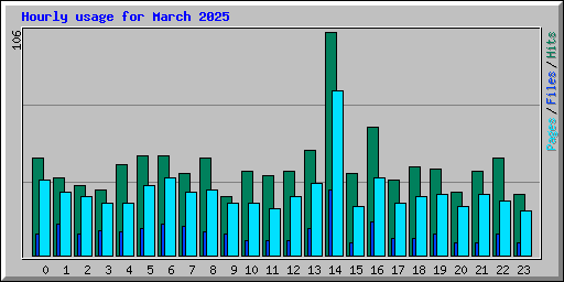 Hourly usage for March 2025