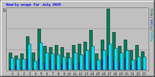 Hourly usage for July 2025