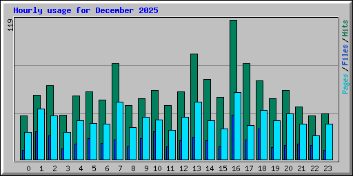 Hourly usage for December 2025