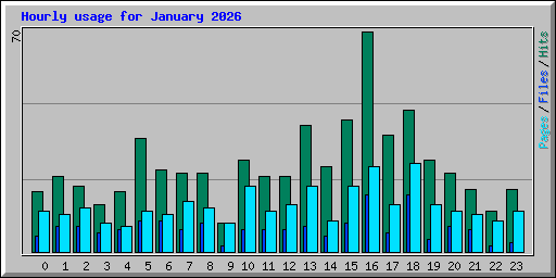 Hourly usage for January 2026