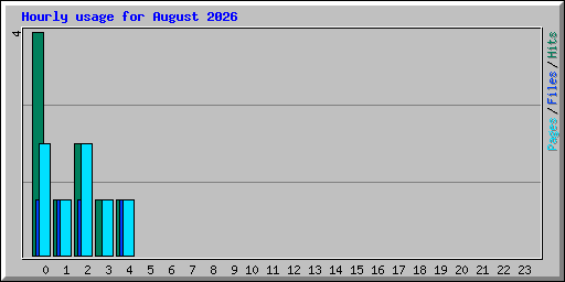 Hourly usage for August 2026